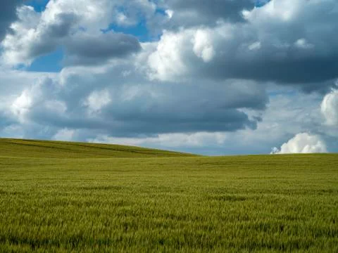 Green field with dramatic sky Stock Photos