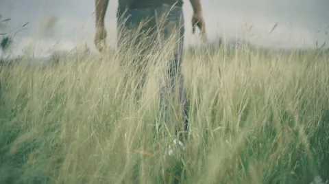 Green Field of Dreams Stockbeeldmateriaal 62931393