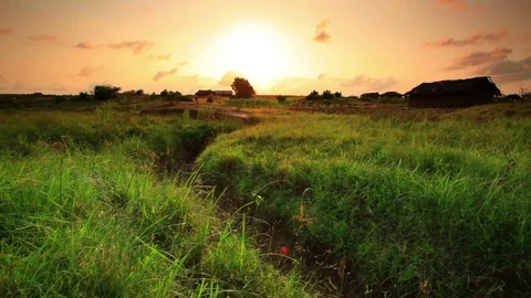Green field with a dried up ravine Stock Footage 74073619
