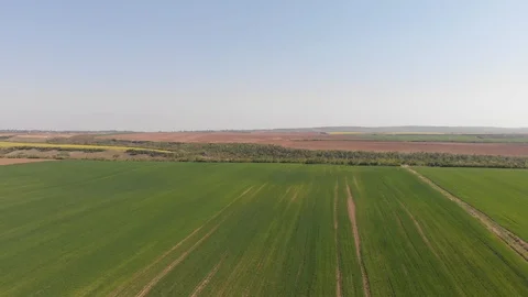 Green field from drone footage Stock Footage 106947690