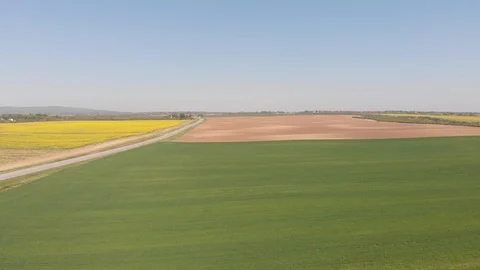 Green field from drone footage with road from left side and yellow rapeseed Stock Footage 106947745