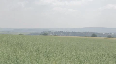 A green field during spring Stock Footage 43861871