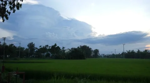 Green field dusk down big clouds 4k Stock Footage 57250190