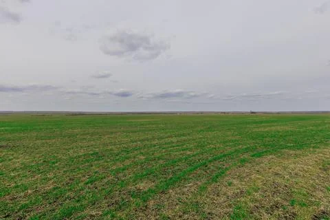 A green field in early spring Stock Photos