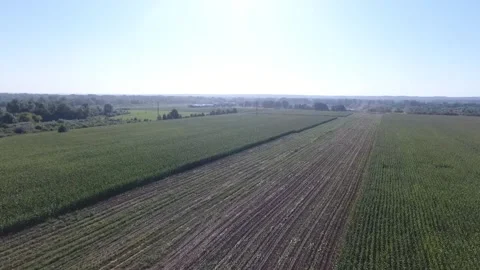 Green field on the farm Stock-Footage 130830726