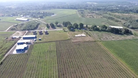 Green field on the farm Stock-Footage 130830738