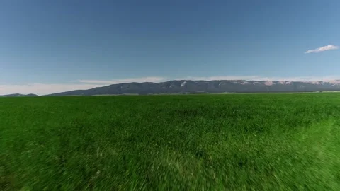 Green field flyover with mountains Video stock 194164746