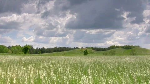 Green field Stock-Footage 436830