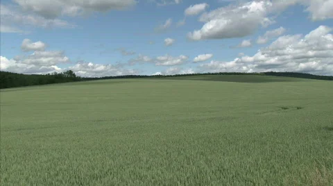 Green field Stock Footage 445931