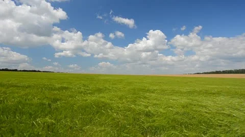 Green field Stock Footage