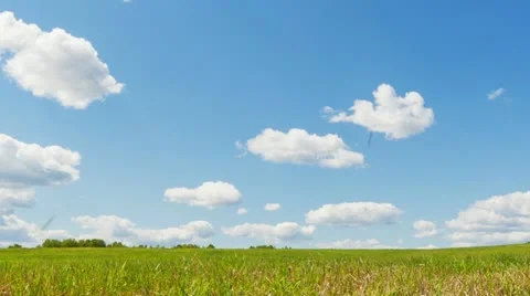 Green Field Stock Footage 22118684