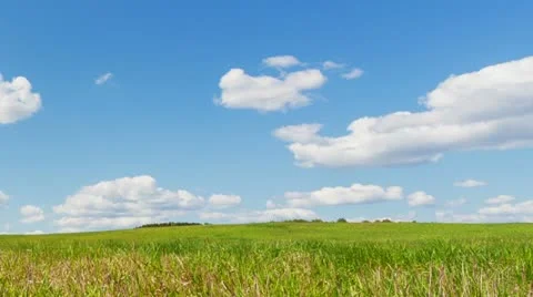 Green Field Stock Footage 22118932