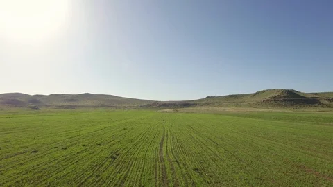 Green field Stock-Footage 129633515