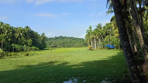 Green field Video stock 141162405