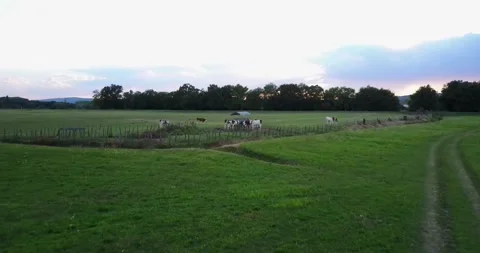 Green Field Stock Footage 151261767