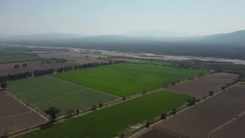 Green field Stockbeeldmateriaal 224173822