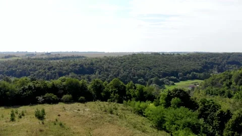 Green field, forest and blue sky. Summer. Village. Stock Footage 140358422
