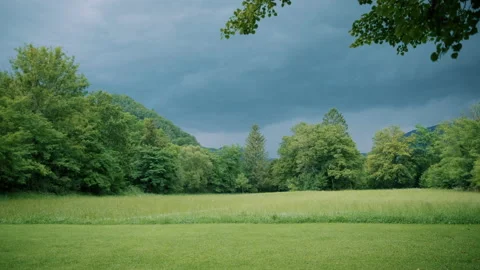 Green field in front of trees on a cloudy day Stock Footage 130387371