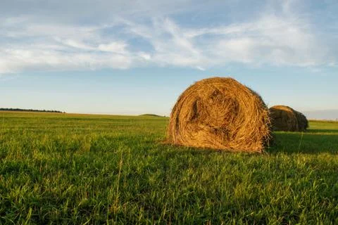 Green field with haystack in the foreground Foto stock