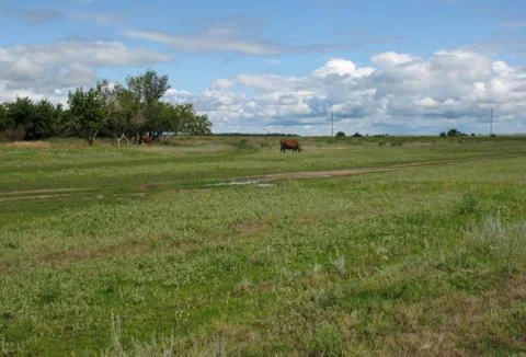 Green, field, haystack, sky blue Stock Photos