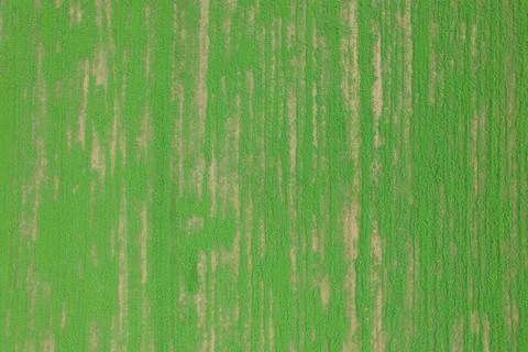 Green field from a height. Green texture for designers background. Place for Stock Photos