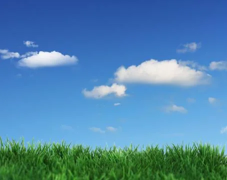 Green field Illustrazione stock