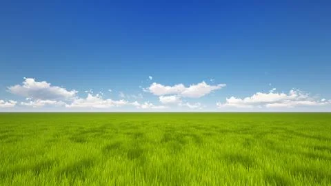 Green field Stock Illustration