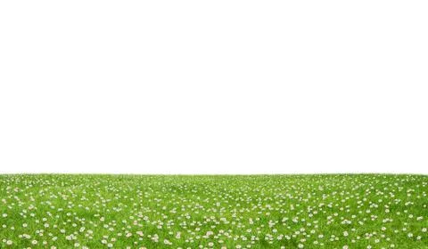 Green field Illustrazione stock