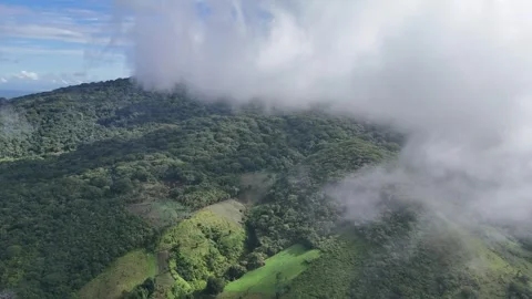 Green field landscape  Video stock 294947137
