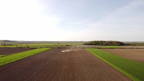 Green Field with Lush Grass and Beautiful Trees Under Blue Sky Vídeos de archivo 337703183