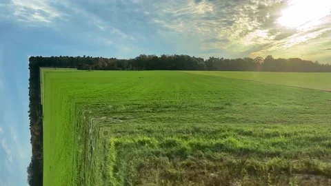 Green Field mirror effect Stock Footage 147462371
