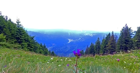 Green field on mountain on cloudy day Stock Footage 103410779