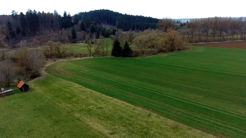 Green field with mountain trees in the background, aerial view from a drone Stock Footage 127023223