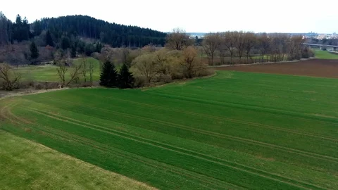 Green field with mountain trees in the background, aerial view from a drone Stock Footage 127023927