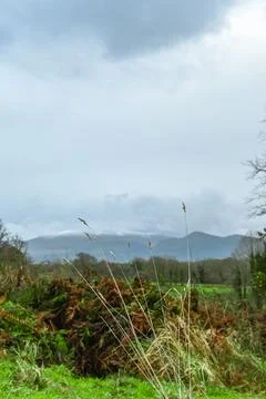 A green field with mountains in the background on a cloudy day Stock Photos