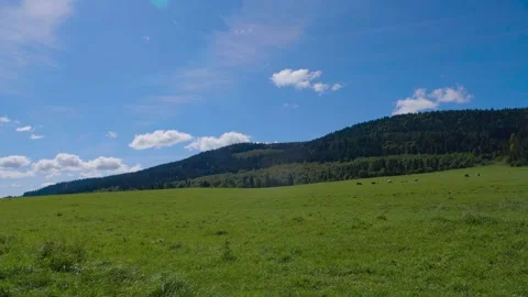 Green field in the mountains Stock Footage 171596520