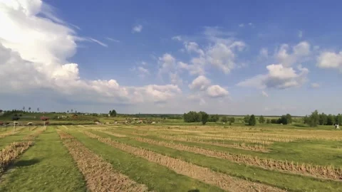 Green field in the open air Stock Footage 133711695
