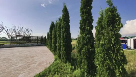 Green field in the open air Stock Footage 133711712