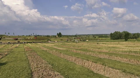 Green field in the open air Stock Footage 134201022