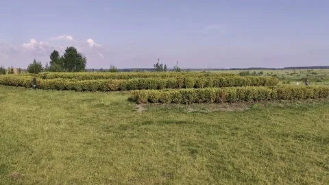 Green field in the open air Stock Footage 134378447
