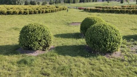 Green field in the open air Stock Footage 134378473