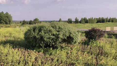 Green field in the open air Stock Footage 134451661