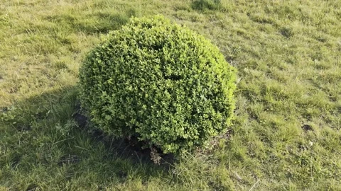 Green field in the open air Stock Footage 134451808