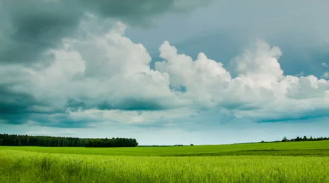 Green field with overcast clouds time lapse Video stock 43088957