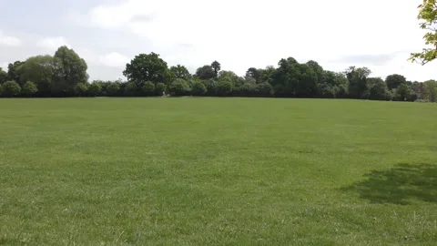 Green field in the park. Stock Footage 96009213