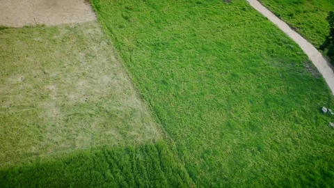 Green Field with Pathway, Open Space, and Rural Landscape Video stock 316794890