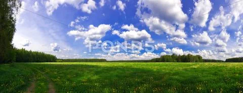 Green field Stock Photos
