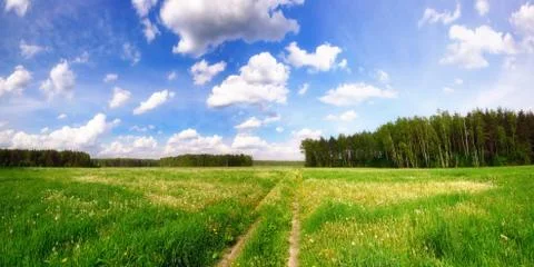 Green field Stock Photos