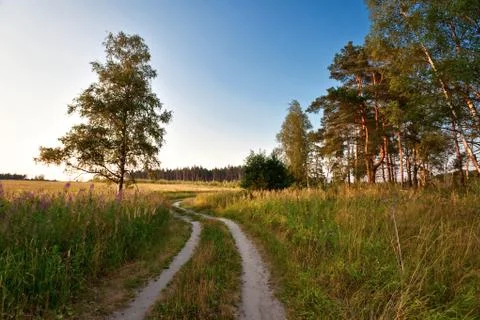 Green field Stock Photos