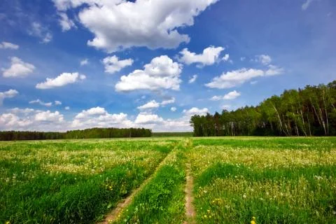 Green field Stock Photos